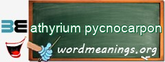 WordMeaning blackboard for athyrium pycnocarpon